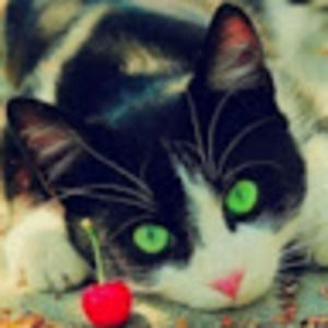 Meet your Posher, Natalie